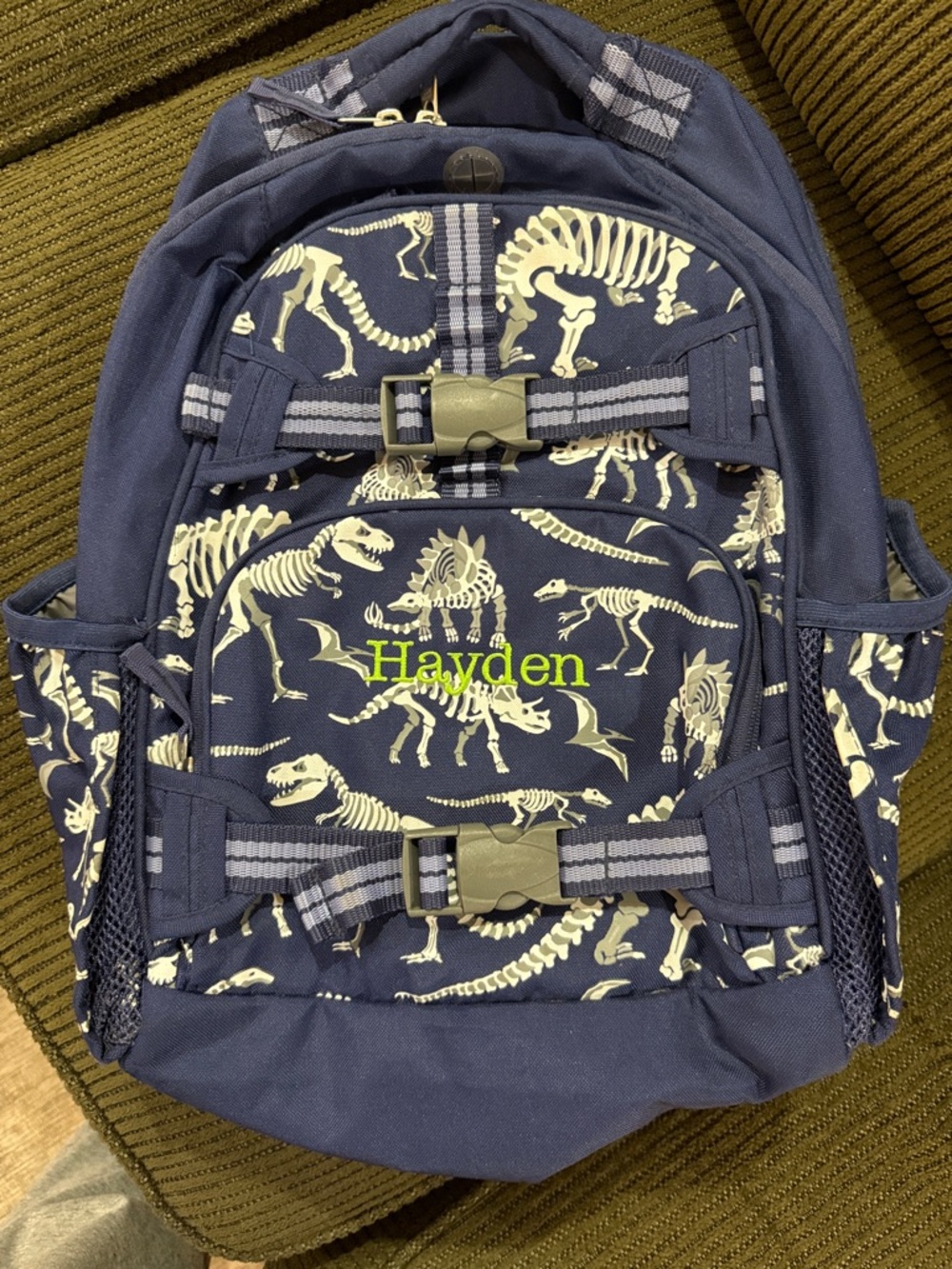 Pottery Barn Glow in the Dark Dinosaur Backpack